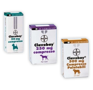 CLAVOBAY 20CPR 250MG