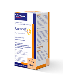 CURACEF DUO INIET FL 100ML