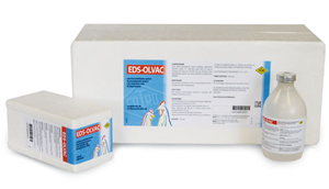 EDS OLVAC SC 10FL 250ML 500D
