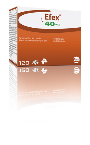 EFEX 120CPR MAST 40MG EFEX 120CPR MAST 40MG