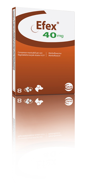 EFEX 8CPR MAST 40MG EFEX 8CPR MAST 40MG