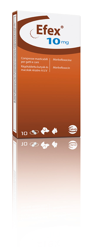 EFEX 10CPR MAST 10MG EFEX 10CPR MAST 10MG