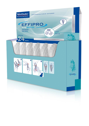 EFFIPRO 24PIP GATTI