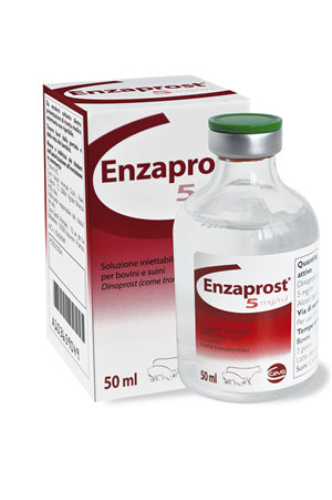 ENZAPROST INIET FL 50ML ENZAPROST INIET FL 50ML