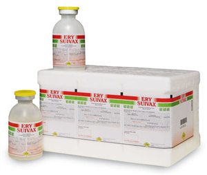 ERY SUIVAX SC FL 100ML 50D