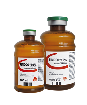 FINDOL 10% INIET FL 200ML PP