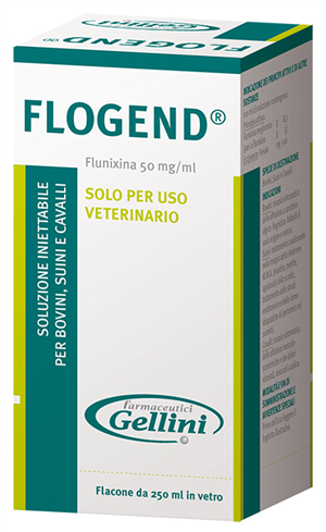 FLOGEND INIET FL 250ML FLOGEND INIET FL 250ML