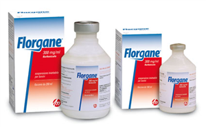 FLORGANE INIET FL100ML300MG/ML