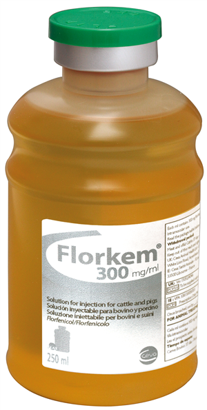 FLORKEM INIET FL 250ML 300MG/M