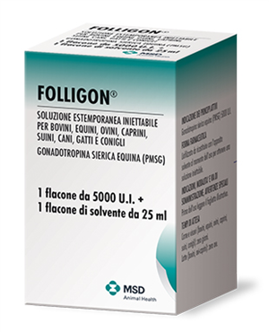 FOLLIGON IM SC 1F 5000UI+F FOLLIGON IM SC 1F 5000UI+F