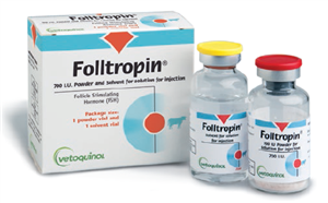 FOLLTROPIN FL20ML 700UI+FL SOL