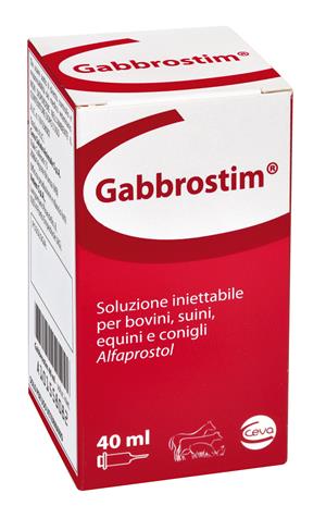GABBROSTIM IM FL 40ML 2MG/ML