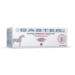 GASTER OS 30BUST 3G 343MG/G GASTER OS 30BUST 3G 343MG/G