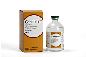 GENABILIN IM FL 100ML 100MG/ML