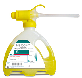 HALOCUR FL 490ML 0,5MG/ML HALOCUR FL 490ML 0,5MG/ML