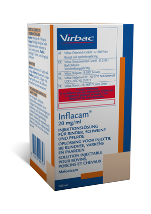 INFLACAM INIET FL100ML 20MG/ML INFLACAM INIET FL100ML 20MG/ML