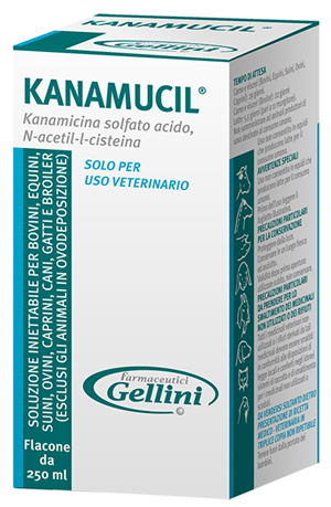 KANAMUCIL INIET FL 250ML