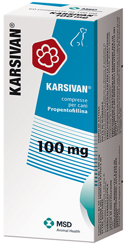 KARSIVAN 60CPR 100MG KARSIVAN 60CPR 100MG