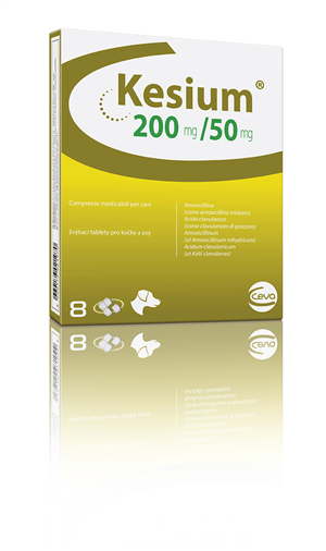 KESIUM 8CPR MAST 200MG+50MG