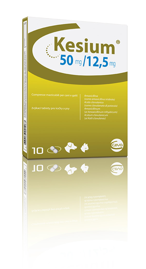 KESIUM 10CPR MAST 50MG+12,5MG