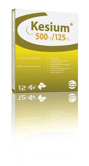 KESIUM 12CPR MAST 500MG+125MG