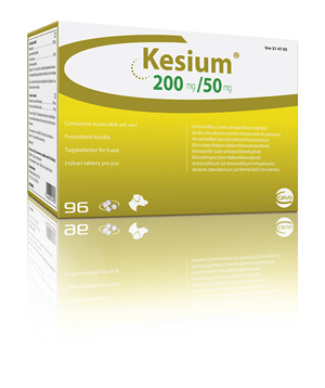 KESIUM 96CPR MAST 200MG+50MG
