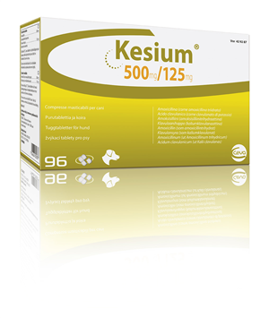 KESIUM 96CPR 500MG+125MG