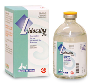 LIDOCAINA 2% INIET FL 100ML