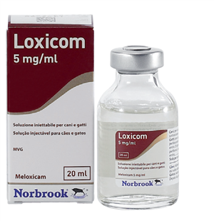 LOXICOM INIET FL 20ML 5MG/ML LOXICOM INIET FL 20ML 5MG/ML