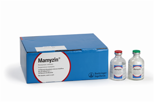 MAMYZIN IM 10FL 10G+10FL 30ML MAMYZIN IM 10FL 10G+10FL 30ML