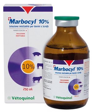 MARBOCYL 10% INIET FL 250ML MARBOCYL 10% INIET FL 250ML