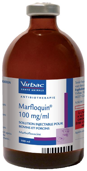MARFLOQUIN INIET 100ML100MG/ML