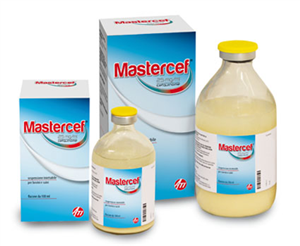 MASTERCEF INIET FL100ML25MG/ML MASTERCEF INIET FL100ML25MG/ML