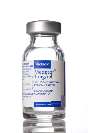 MEDETOR INIET FL 10ML 1MG/ML MEDETOR INIET FL 10ML 1MG/ML
