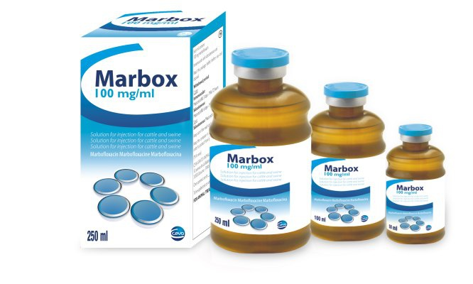 MARBOX INIET FL 100ML 100MG/ML