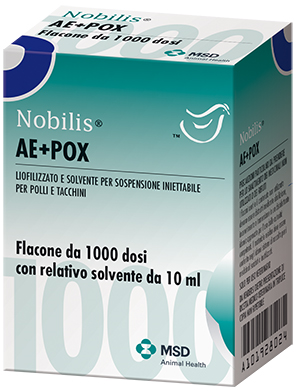 NOBILIS AE+POX INIET 1000D+5ML