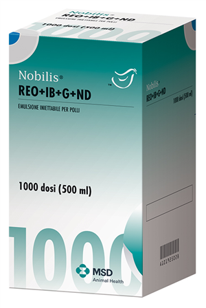 NOBILIS REO+IB+G+ND 500ML PET