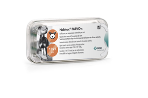 NOBIVAC PARVO C 10FL PET 1D