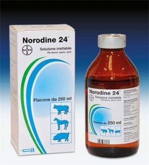 NORODINE 24 INIET FL 250ML