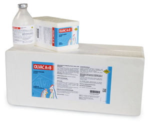 OLVAC A+B SC 10FL 250ML 500D