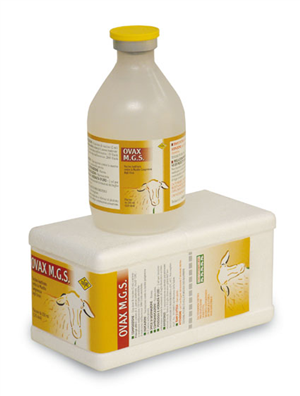 OVAX MGS SC FL 250ML 125D