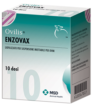 OVILIS ENZOVAX FL 10D