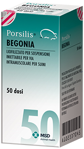 PORSILIS BEGONIA FL 50D PORSILIS BEGONIA FL 50D