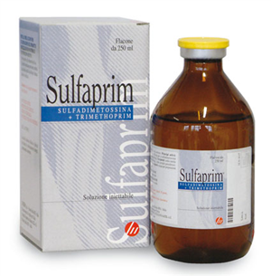 SULFAPRIM INIET FL 250ML SULFAPRIM INIET FL 250ML