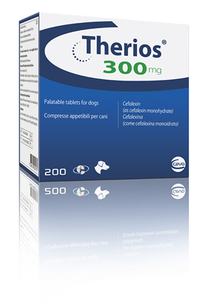 THERIOS 200CPR APPET 300MG THERIOS 200CPR APPET 300MG