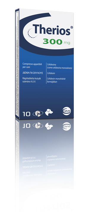 THERIOS 10CPR APPET 300MG THERIOS 10CPR APPET 300MG