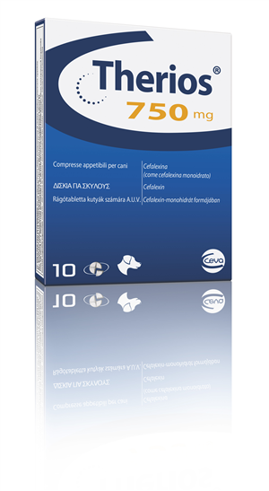 THERIOS 10CPR APPET 750MG THERIOS 10CPR APPET 750MG