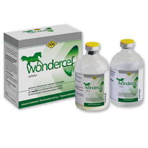 WONDERCEF FL 4G+FL 80ML EQUINI WONDERCEF FL 4G+FL 80ML EQUINI