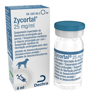 ZYCORTAL INIET 4ML 25MG/ML RP
