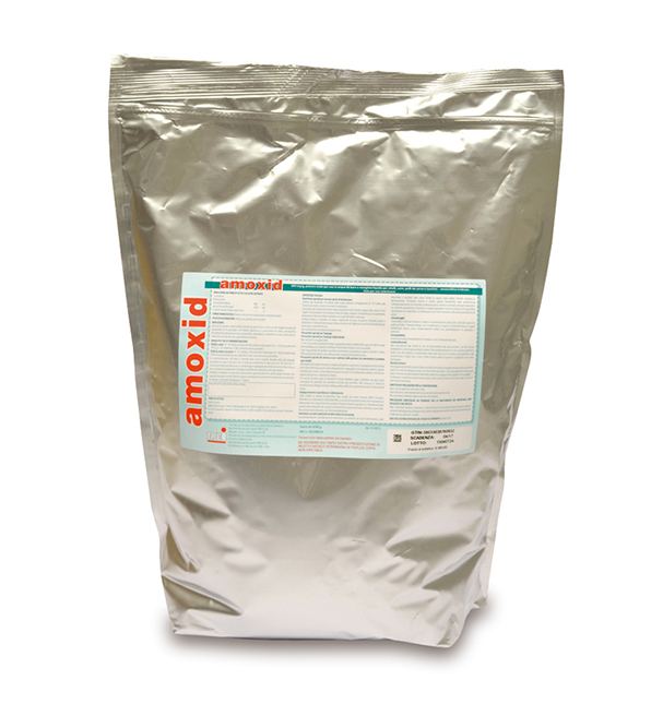 AMOXID OS POLV BUST 4290G